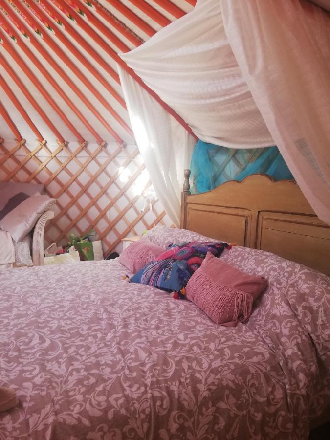 Yurta De Arico Otel Arico Viejo Dış mekan fotoğraf