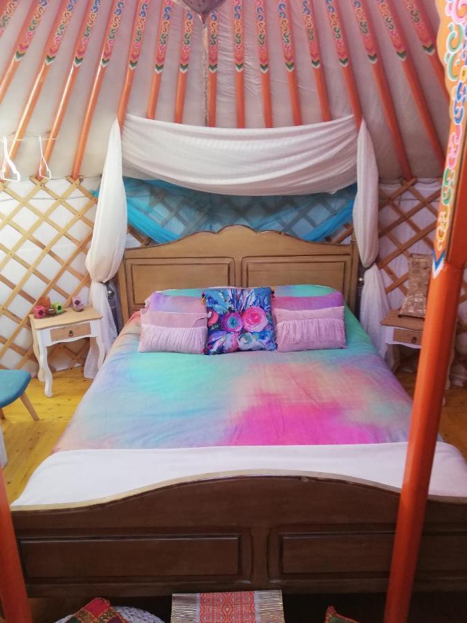 Yurta De Arico Otel Arico Viejo Dış mekan fotoğraf
